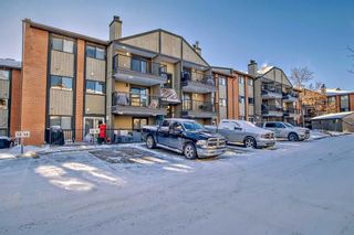 Photo 3: 4314 13045 6 Street SW in Calgary: Canyon Meadows Apartment for sale : MLS®# A2101573