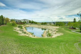 Photo 28: 415 369 Rocky Vista Park NW in Calgary: Rocky Ridge Apartment for sale : MLS®# A1222940