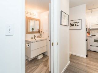 Photo 16: 302 2388 TRIUMPH STREET in Vancouver: Hastings Condo for sale (Vancouver East)  : MLS®# R2003963