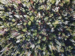 Photo 4: Lot Shore Road in North East Harbour: 407-Shelburne County Vacant Land for sale (South Shore)  : MLS®# 202202384