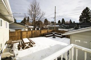 Photo 27: 10628 Mapleglen Crescent SE in Calgary: Maple Ridge Detached for sale : MLS®# A1173079