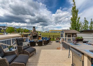 Photo 42: 6 Silverado Plains Common SW in Calgary: Silverado Detached for sale : MLS®# A1243932