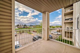 Photo 16: 209 1717 60 Street SE in Calgary: Red Carpet Apartment for sale : MLS®# A2133379