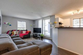 Photo 11: 1114 2280 68 Street NE in Calgary: Monterey Park Apartment for sale : MLS®# A2071711