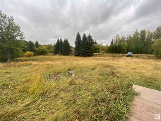 Photo 10: 6 52019 RGE RD 20: Rural Parkland County Rural Land/Vacant Lot for sale : MLS®# E4314044