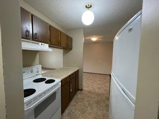 Photo 3: 108 420 Columbia Boulevard W: Lethbridge Apartment for sale : MLS®# A2001307