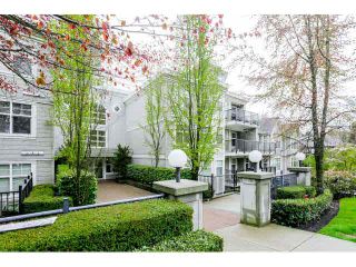 Photo 20: 101 7038 21 ST Avenue in Burnaby: Highgate Townhouse for sale in "ASHBURY" (Burnaby South)  : MLS®# V1118752