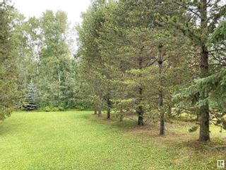 Photo 30: 12 473052 RGE RD 11: Rural Wetaskiwin County House for sale : MLS®# E4307432