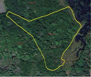 Photo 3: Lot 20 Lakeside Drive in Little Harbour: 108-Rural Pictou County Vacant Land for sale (Northern Region)  : MLS®# 202207906