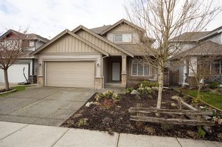 Photo 1: 7157 196A Street in Langley: Willoughby Heights House for sale : MLS®# F1108097