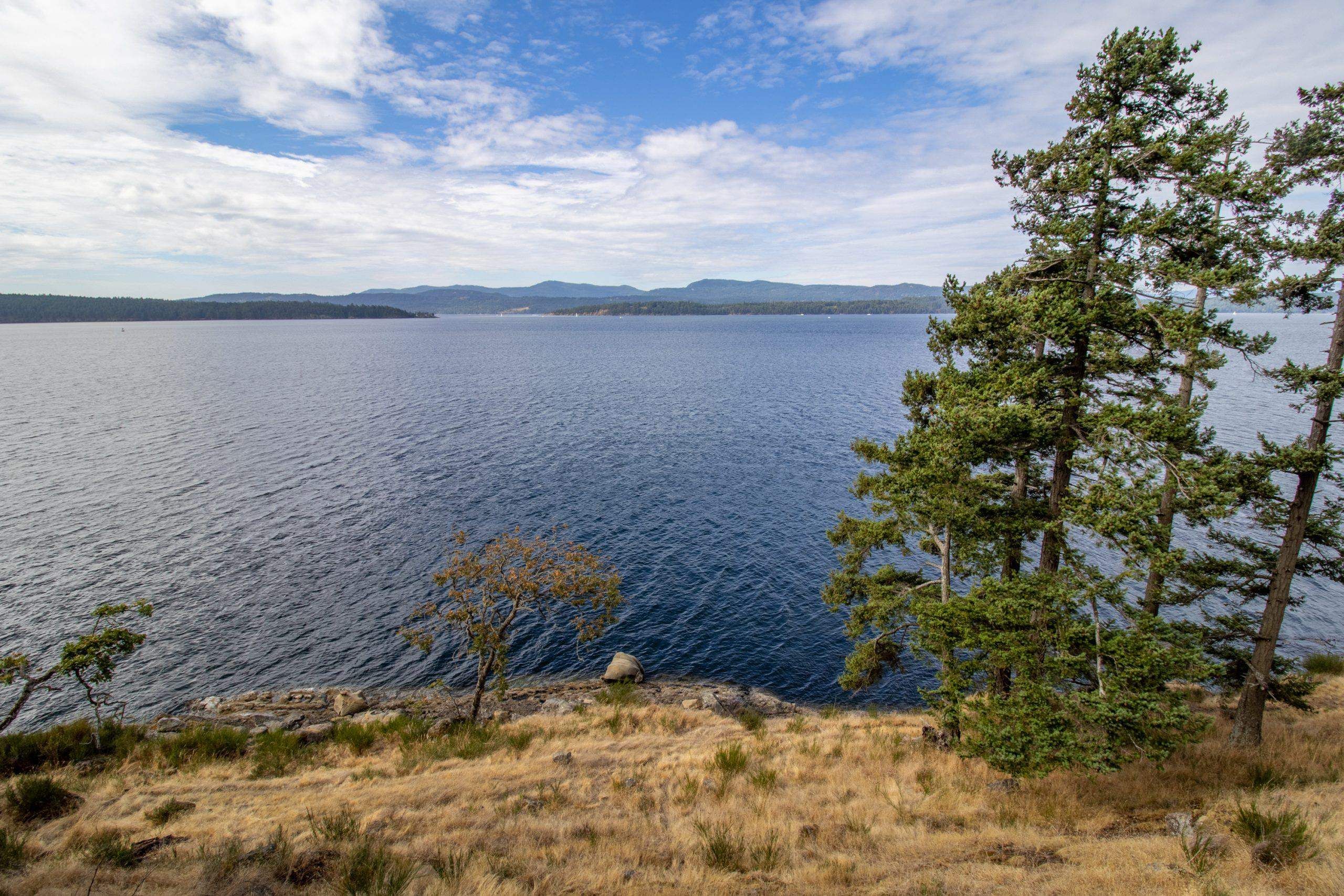 Main Photo: 262 PHILLIMORE POINT Road: Galiano Island House for sale (Islands-Van. & Gulf)  : MLS®# R2807780