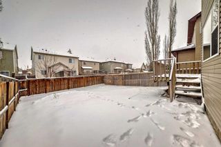 Photo 34: 142 COPPERSTONE Crescent SE in Calgary: Copperfield Detached for sale : MLS®# A2116829