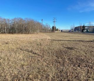 Photo 1: 900-950 3 Street SW in Diamond Valley: A-7662 Residential Land for sale : MLS®# A2094537