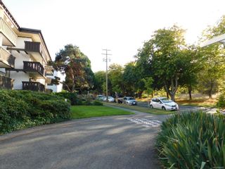 Photo 25: 216 964 Heywood Ave in Victoria: Vi Fairfield West Condo for sale : MLS®# 856887