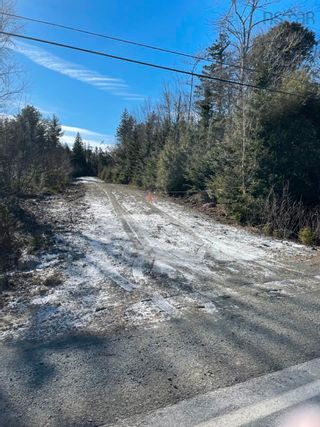 Photo 9: Lot C Highway 224 in Sheet Harbour: 35-Halifax County East Vacant Land for sale (Halifax-Dartmouth)  : MLS®# 202302149