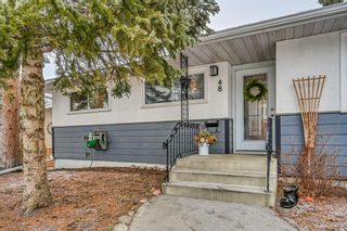 Photo 3: 48 Fawn Crescent SE in Calgary: Fairview Detached for sale : MLS®# A1189897