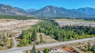 Photo 9: Lot 1 HIGHWAY 93/95 in Windermere: Retail for sale : MLS®# 2473397