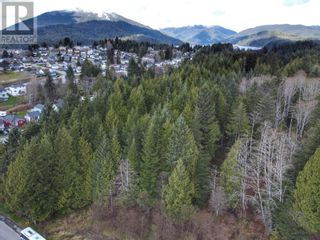 Photo 2: LOTS 3, 4, 5 E 9TH AVENUE in Prince Rupert: Vacant Land for sale : MLS®# R2872198