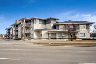 Photo 24: 208 8200 4 Street NE in Calgary: Beddington Heights Apartment for sale : MLS®# A2034244