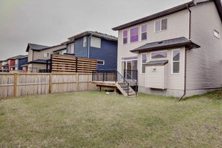 Photo 32: 18 EVANSFIELD Park NW in Calgary: Evanston Detached for sale : MLS®# C4295619