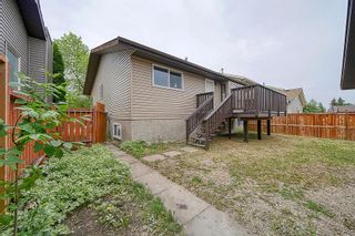 Photo 50: 103 Castlegrove Road NE in Calgary: Castleridge Detached for sale : MLS®# A2053909