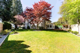 Photo 5: 20597 95A Avenue in Langley: Walnut Grove House for sale in "Walnut Grove" : MLS®# R2873582