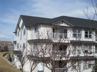 Photo 2: 311 3 Somervale View SW in Calgary: Somerset Apartment for sale : MLS®# A1234184
