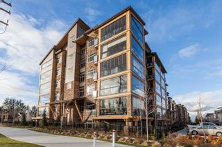 Main Photo: 108 8067 207TH Street in Langley: Willoughby Heights Condo for sale in "Yorkson Creek Parkside One" : MLS®# R2139327