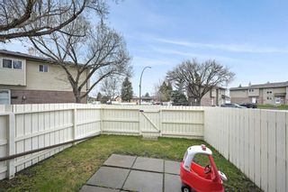 Photo 14: 77 32 Whitnel Court NE in Calgary: Whitehorn Row/Townhouse for sale : MLS®# A2129884