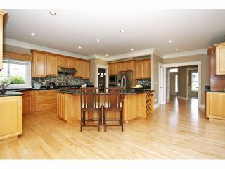 Photo 10: 2125 138A Street in Surrey: Elgin Chantrell House for sale (South Surrey White Rock)  : MLS®# F1320122
