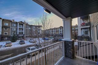 Photo 20: 2216 115 Prestwick Villas SE in Calgary: McKenzie Towne Apartment for sale : MLS®# A2035160