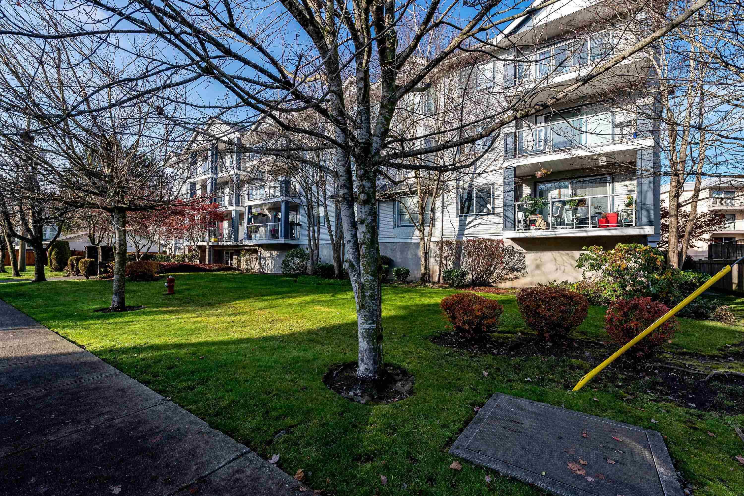 Main Photo: 317 20177 54A Avenue in Langley: Langley City Condo for sale in "STONEGATE" : MLS®# R2661364