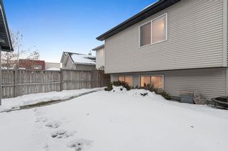 Photo 23: 223 Cranberry Way SE in Calgary: Cranston Detached for sale : MLS®# A2012023
