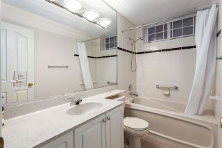 Photo 15: 488 W 22ND Avenue in Vancouver: Cambie House for sale (Vancouver West)  : MLS®# R2032117
