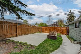 Photo 31: 143 Dovercliffe Way SE in Calgary: Dover Detached for sale : MLS®# A1220120