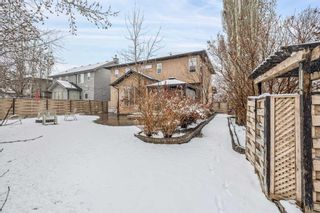 Photo 3: 59 Elgin Park Road SE in Calgary: McKenzie Towne Detached for sale : MLS®# A2120525