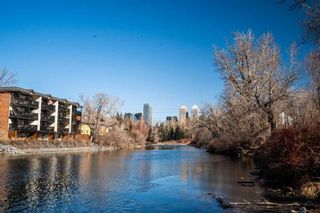 Photo 35: 204 60 24 Avenue SW in Calgary: Erlton Apartment for sale : MLS®# A2122871