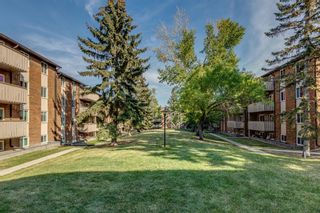 Photo 1: 914 11620 Elbow Drive SW in Calgary: Canyon Meadows Apartment for sale : MLS®# A2003502