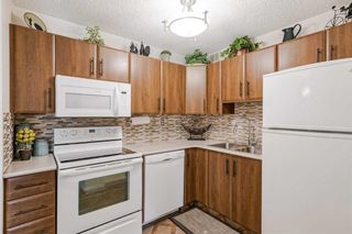 Photo 16: 14A 231 Heritage Drive SE in Calgary: Acadia Apartment for sale : MLS®# A2078508