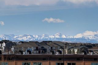 Photo 27: 214 110 Auburn Meadows View SE in Calgary: Auburn Bay Apartment for sale : MLS®# A1210991