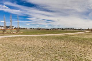 Photo 43: 1400 Price Road: Carstairs Detached for sale : MLS®# A2125755