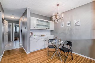 Photo 10: 219 26 Avenue NE in Calgary: Tuxedo Park Semi Detached (Half Duplex) for sale : MLS®# A2039098