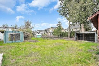 Photo 8: 4945 224 Street in Langley: Murrayville House for sale : MLS®# R2778938
