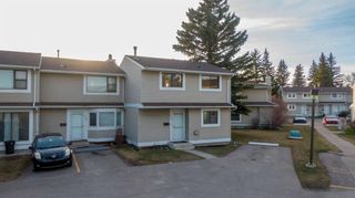 Photo 39: 104 Pinestream Place NE in Calgary: Pineridge Row/Townhouse for sale : MLS®# A2123153