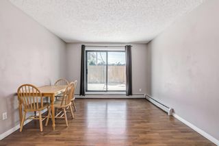 Photo 17: 206 1919 36 Street SW in Calgary: Killarney/Glengarry Apartment for sale : MLS®# A2041457