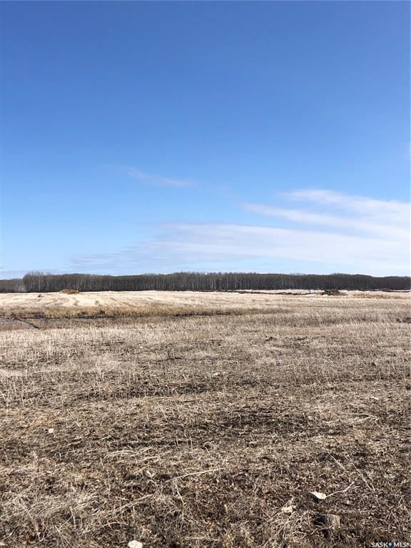 Main Photo: East Ditch land in Hudson Bay: Lot/Land for sale : MLS®# SK880573