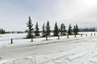 Photo 50: 66 Erin Green Way SE in Calgary: Erin Woods Detached for sale : MLS®# A1094602