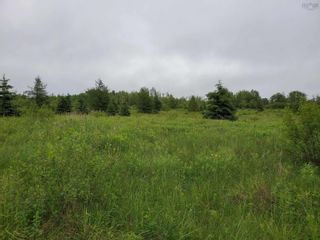 Photo 2: 23-5 242 Highway in River Hebert East: 102S-South of Hwy 104, Parrsboro Vacant Land for sale (Northern Region)  : MLS®# 202312420