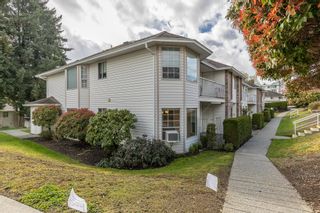 Photo 3: 35 2938 TRAFALGAR Street in Abbotsford: Central Abbotsford Townhouse for sale : MLS®# R2867307