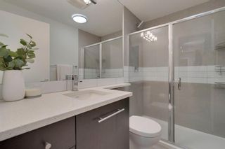 Photo 14: 312 836 Royal Avenue SW in Calgary: Lower Mount Royal Apartment for sale : MLS®# A1052215